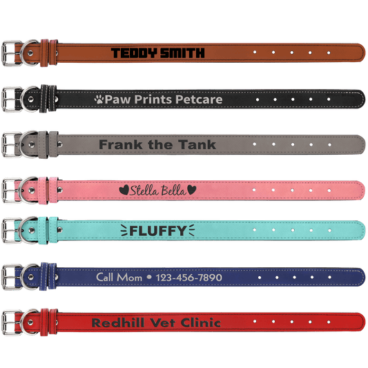 Personalized Leather Dog Collars Sized SM M L XL